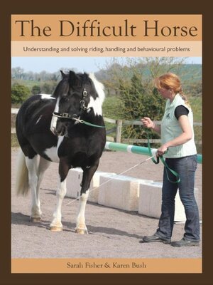 cover image of Difficult Horse